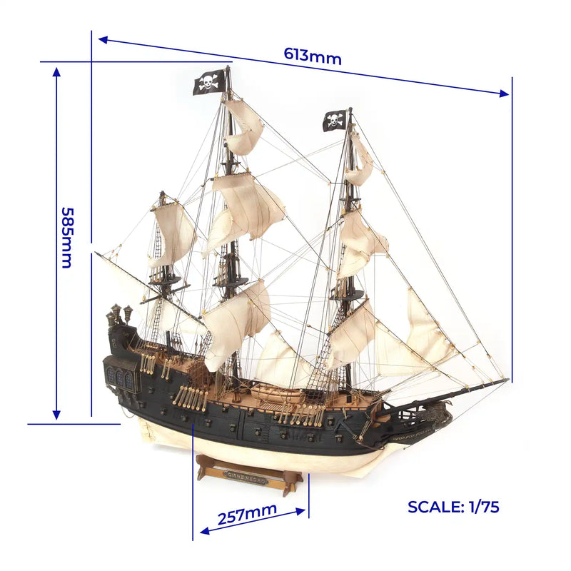 Photo of OcCre Black Swan wooden model ship kit 1:75 scale, detailed pirate vessel with sails and nameplate