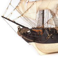 Photo of OcCre Black Swan wooden model ship kit 1:75 scale, detailed pirate vessel with sails and nameplate