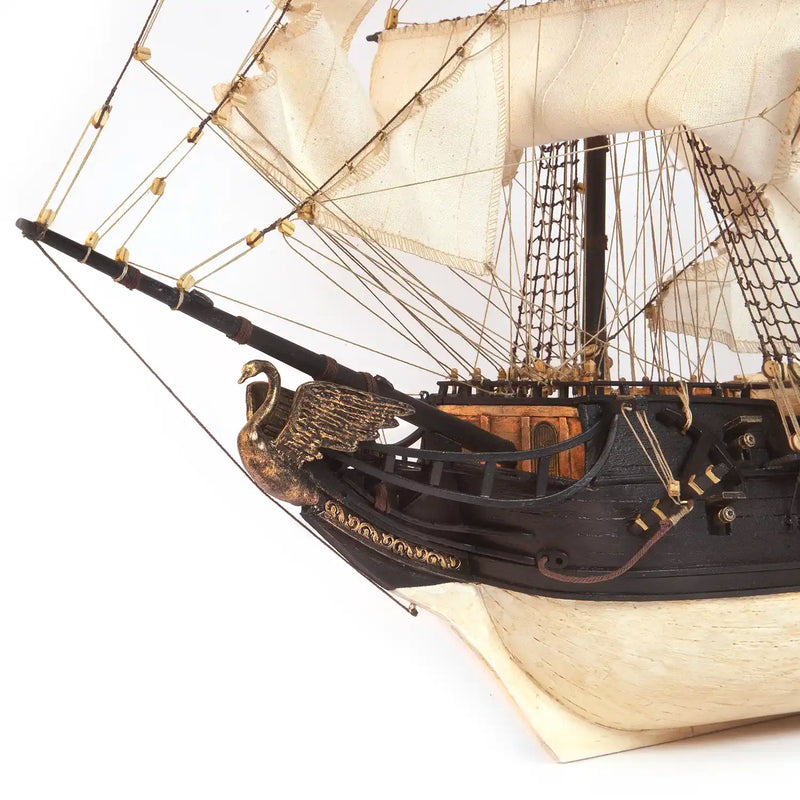 Photo of OcCre Black Swan wooden model ship kit 1:75 scale, detailed pirate vessel with sails and nameplate