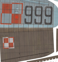 Close-up of a metallic aircraft or vehicle panel with large black '999' numerals, red and white checkered markings, and a light blue upper section.
